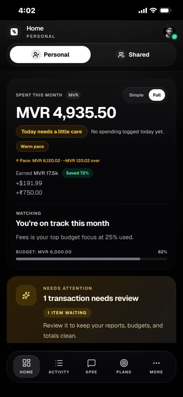 SpentAI PWA monthly spending overview and budget guidance